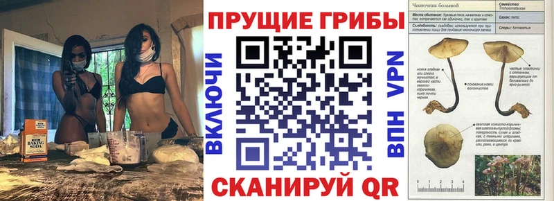 Псилоцибиновые грибы MAGIC MUSHROOMS  Обнинск 