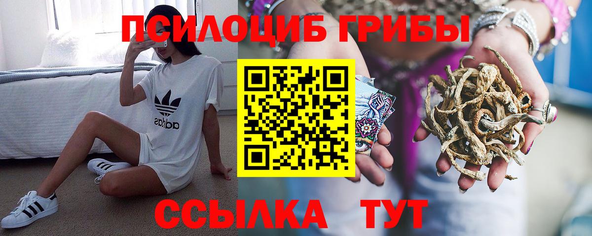 Псилоцибиновые грибы мухоморы Обнинск